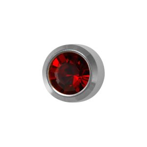 Regular January Garnet Bezel Surgical Stainless Steel