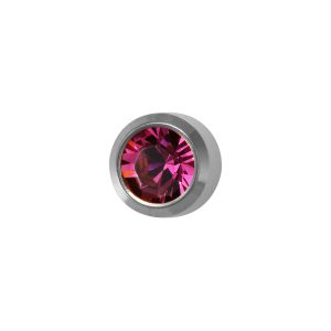 Mini February Amethyst Bezel Surgical Stainless Steel